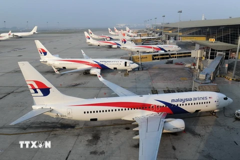 Máy bay của Malaysia Airlines đỗ tại sân bay Quốc tế Kuala Lumpur. (Nguồn: AFP/TTXVN)