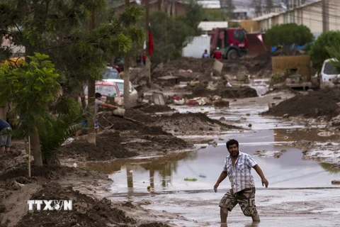 Chile cần 1,5 tỷ USD để khắc phục hậu quả mưa lũ ở miền Bắc 