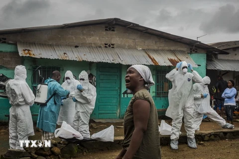 WHO quyết tâm kiểm soát và tiêu diệt căn bệnh chết người Ebola
