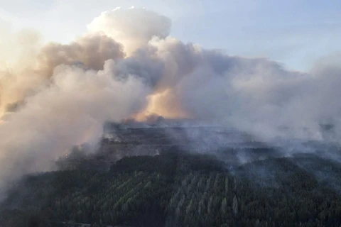 Ukraine khoanh vùng cháy rừng gần nhà máy điện hạt nhân Chernobyl