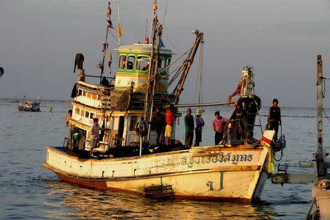 Thái Lan đạt tiến bộ trong cuộc chiến chống săn bắt cá bất hợp pháp