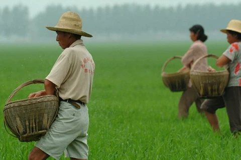 Trung Quốc đầu tư 9,5 tỷ USD để hiện đại hóa nông nghiệp