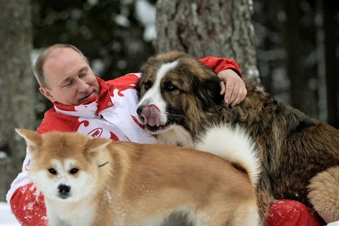 [Photo] Phút đời thường của Tổng thống Nga Vladimir Putin 