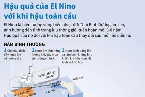 [Infographics] Hậu quả của El Nino với khí hậu toàn cầu