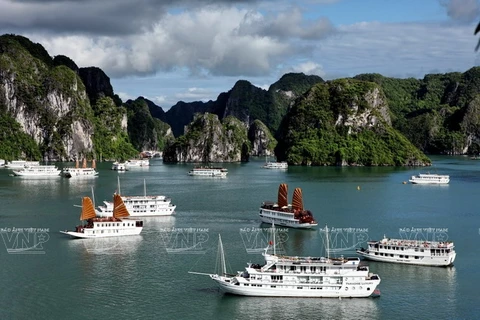 Những du thuyền sang trọng nổi bật giữa màu xanh như ngọc của mặt nước Vịnh Hạ Long. (Ảnh: Nguyễn Thắng/Báo ảnh Việt Nam)