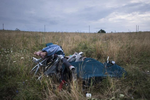 Ngày 19/7/2014, một thi thể vẫn đang ngồi trên ghế máy bay ở khu vực xảy ra vụ rơi MH17 gần làng Hrabove. (Nguồn: AP)