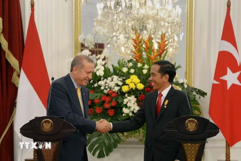 Tổng thống Indonesia Joko Widodo (phải) và Tổng thống Thổ Nhĩ Kỳ Recep Tayyip Erdogan tại cuộc họp báo sau cuộc gặp. (Nguồn: AFP/TTXVN)