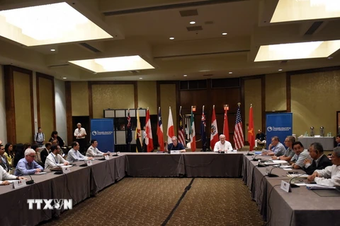 Hội nghị Bộ trưởng Thương mại các nước đàm phán TPP. (Nguồn: THX/TTXVN)