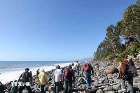 Các nhân viên bảo vệ môi trường và bờ biển tiếp tục tìm kiếm mảnh vỡ máy bay MH370 trên đảo Reunion ngày 10/8. (Nguồn: AFP/TTXVN) 