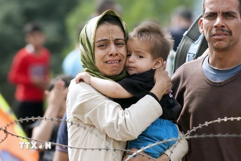 Người di cư tại khu vực biên giới Macedonia - Hy Lạp ngày 22/8. (Nguồn: AFP/TTXVN) 
