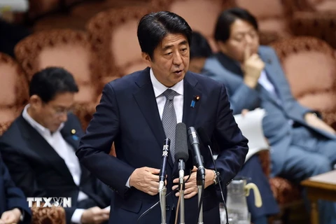 Thủ tướng Nhật Bản Shinzo Abe. (Nguồn: AFP/TTXVN) 