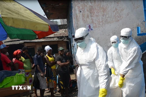 Nhân viên y tế chuyển thi thể một nạn nhân thiệt mạng do Ebola tại Monrovia, Liberia ngày 5/1/2015. (Nguồn: AFP/TTXVN) 