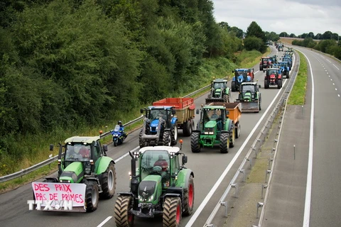 Nông dân Pháp phong tỏa đường cao tốc A81 ở Laval, miền Tây nước Pháp ngày 27/7. (Nguồn: AFP/TTXVN) 
