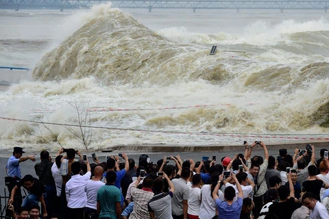 Đây được xem là những đợt sóng thủy triều lớn nhất trong năm. (Nguồn: CCTVNews)