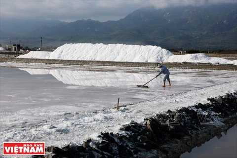 Vào mùa thu hoạch, đồng muối Hòn Khói trông như ngọn núi phủ đầy tuyết trắng. (Ảnh: Tất Sơn/Báo ảnh Việt Nam)