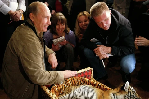 Hổ con Siberia 2 tháng tuổi. (Nguồn: Sputniknews)
