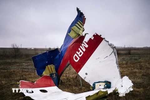 Một phần xác máy bay MH17 ở làng Grabovo, cách Donetsk, Ukraine khoảng 80km về phía đông ngày 10/11/2014. (Nguồn: AFP/TTXVN) 