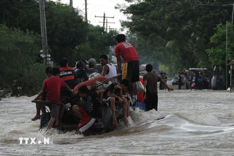 Cảnh ngập lụt sau những trận mưa lớn do bão Koppu tại La Paz, phía Bắc thủ đô Manila ngày 20/10. (Nguồn: AFP/TTXVN) 
