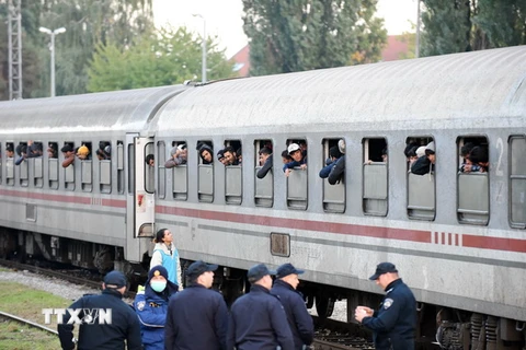 Tàu chở người di cư từ Tovarnik, miền Tây Croatia tới Slovenia ngày 17/10. (Nguồn: AFP/TTXVN)