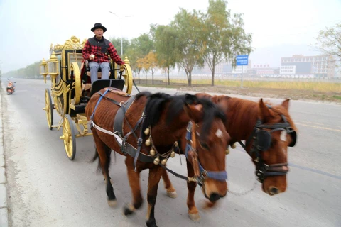 Một người đàn ông Trung Quốc đã trở nên nổi tiếng khi đánh chiếc xe ngựa do mình làm có thiết kế giống xe ngựa của Nữ hoàng Anh đi khắp thị trấn.