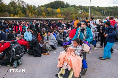 Người di cư chờ xe buýt sau khi vượt qua biên giới Áo-Slovenia ở khu vực Spielfeld ngày 22/10. (Nguồn: AFP/TTXVN) 