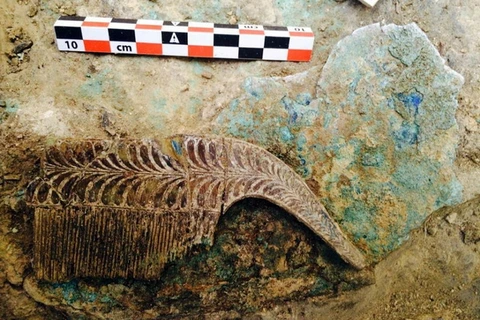 Một chiếc lược bằng ngà voi trong ngôi mộ cổ.