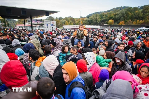 Người di cư chờ xe buýt sau khi vượt qua biên giới Áo-Slovenia ở khu vực Spielfeld ngày 22/10. (Nguồn: AFP/TTXVN) 