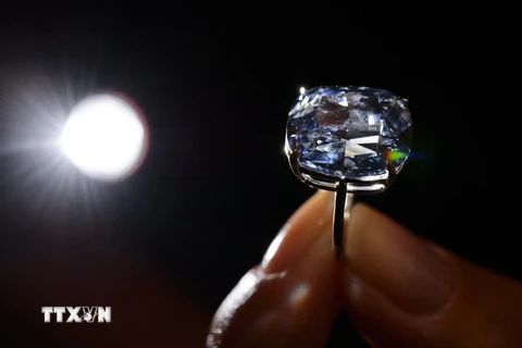 Viên kim cương 'Blue Moon' được nhà đấu giá Sotheby's giới thiệu tại Geneva, Thụy Sĩ ngày 4/11. (Nguồn: AFP/TTXVN) 