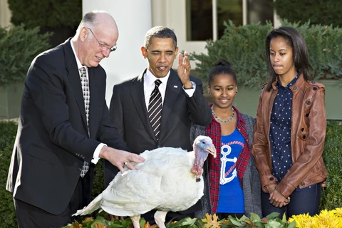 Tổng thống Obama thả gà tây trong lễ Tạ ơn. (Nguồn: washingtontimes.com)