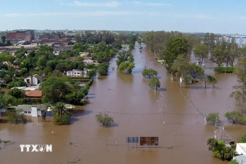 Cảnh ngập lụt tại Paysandú, Uruguay, ngày 27/12. (Nguồn: AFP/TTXVN) 