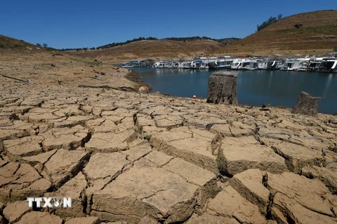 Hồ chứa nước New Melones ở California bị cạn khô do hạn hán kéo dài. (Nguồn: AFP/TTXVN) 