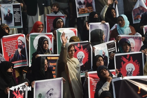  Quang cảnh cuộc biểu tình tại Lahore, Pakistan ngày 3/1/2016. (Nguồn: AFP/TTXVN) 
