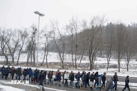 Người tị nạn tại khu vực viên giới Slovenia-Áo ngày 5/1. (Nguồn: AFP/TTXVN) 