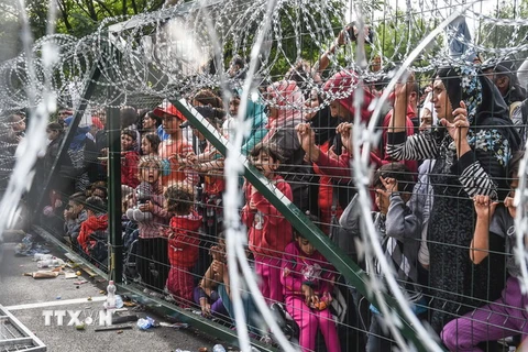 Người di cư và tị nạn tại khu vực hàng rào biên giới giữa Hungari và Serbia. (Nguồn: AFP/TTXVN) 