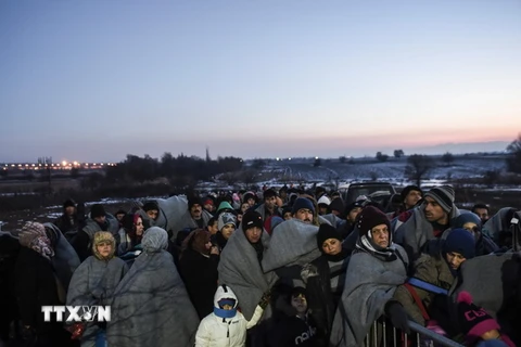 Người di cư và tị nạn đợi để vào trại tị nạn sau khi vượt qua biên giới Macedonia tới Serbia. (Nguồn: AFP/TTXVN) 