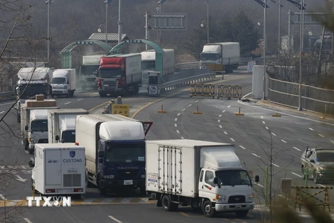 Xe chở công dân Hàn Quốc rời khỏi khu công nghiệp Kaesong ngày 11/2. (Nguồn: AFP/TTXVN)
