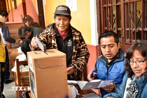 Cử tri Bolivia bỏ phiếu tại một địa điểm bầu cử ở La Paz. (Nguồn: THX/TTXVN) 