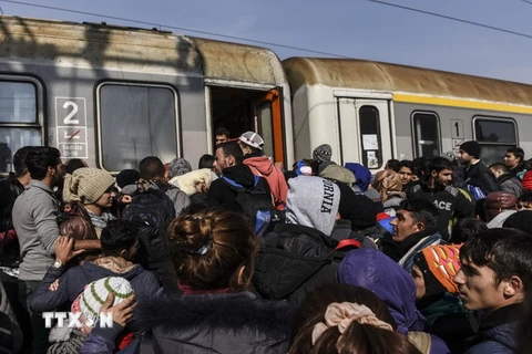 Người di cư tìm cách lên tàu tới Croatia sau khi vượt qua biên giới Macedonia-Serbia ở thị trấn Bujanovac. (Nguồn: AFP/TTXVN) 