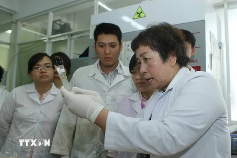 Phó giáo sư, tiến sỹ Đặng Thị Cẩm Hà hướng dẫn các nghiên cứu sinh tại phòng thí nghiệm. (Ảnh: Phương Hoa/TTXVN)