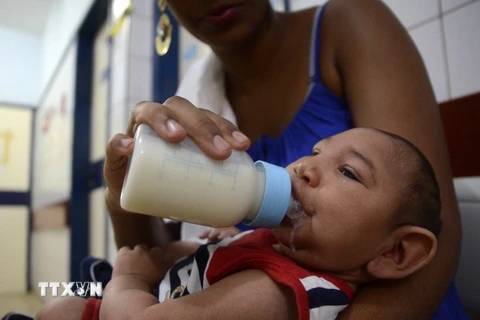Em bé bị mắc chứng đầu nhỏ được theo dõi tại bệnh viện Oswaldo Cruz ở Cabo de Santo Agostinho thuộc Pernambuco, Brazil. (Nguồn: THX/TTXVN) 