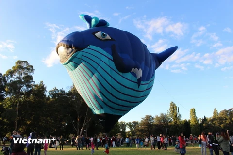 Trẻ nhỏ nô nức tới "thổi bóng" khinh khí cầu ở Canberra