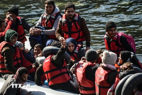 Hàng nghìn người tị nạn tiếp tục từ Thổ Nhĩ Kỳ kéo tới Hy Lạp
