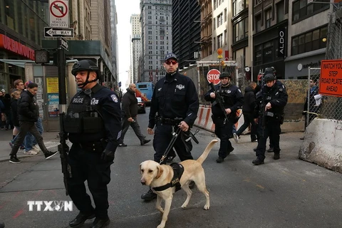 Cảnh sát Mỹ tuần tra trên các đường phố ở Manhattan, New York. (Nguồn: AFP/TTXVN) 