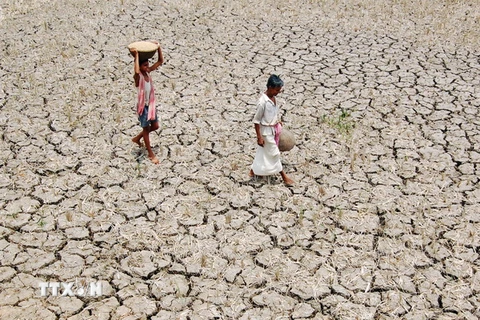 Nắng nóng ở miền Nam Ấn Độ khiến 70 người thiệt mạng
