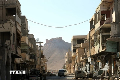 Thành phố Palmyra. (Nguồn: AFP/TTXVN)