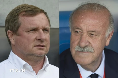 Huấn luyện viên Pavel Vrba (trái) của tuyển Séc và Vicente del Bosque của Tây Ban Nha. (Nguồn: AFP/TTXVN) 