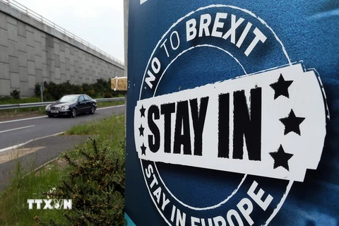Logo kêu gọi cử tri bỏ phiếu ở lại EU tại khu vực ngoại ô Newry, Bắc Ireland ngày 7/6. (Nguồn: AFP/TTXVN) 