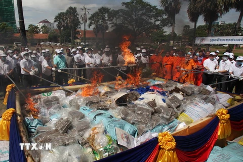 Số ma túy bị tiêu hủy tại Phnom Penh, Campuchia ngày 26/6. (Nguồn: THX/TTXVN) 