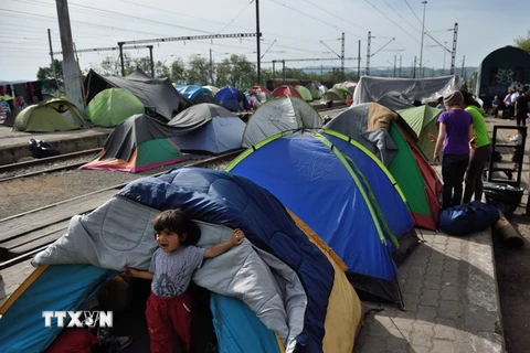 Bắt giữ hơn 200 người trong vụ ẩu đả tại trại tị nạn ở Hungary