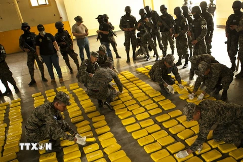 Colombia phá hủy hơn 100 trung tâm pha chế cocain bất hợp pháp